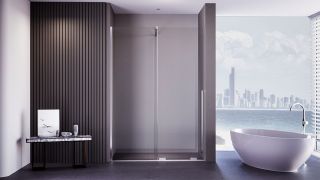 Душевая дверь Veconi Premium Trento PTDW-50CH, 1400x2000, хром, стекло прозрачное